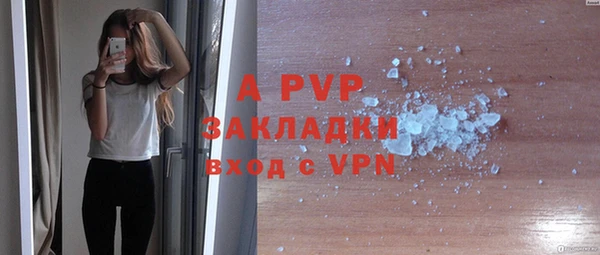 прущие крисы Верея
